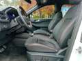 Ford Kuga ST Line X 2.5 Duratec FHEV HEV Bianco - thumbnail 12