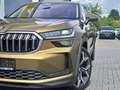 Skoda Kodiaq TDI 4x4 DSG STNDHZ PANO AHK LEDER MATRIX  360° Gold - thumbnail 5
