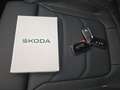 Skoda Kodiaq TDI 4x4 DSG STNDHZ PANO AHK LEDER MATRIX  360° Gold - thumbnail 27