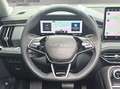 Skoda Kodiaq TDI 4x4 DSG STNDHZ PANO AHK LEDER MATRIX  360° Gold - thumbnail 15