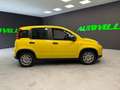 Fiat Panda 1.0 firefly hybrid s PANDINA PREZZO REALE! Giallo - thumbnail 8