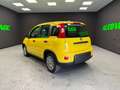 Fiat Panda 1.0 firefly hybrid s PANDINA PREZZO REALE! Giallo - thumbnail 5