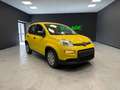 Fiat Panda 1.0 firefly hybrid s PANDINA PREZZO REALE! Giallo - thumbnail 1