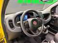 Fiat Panda 1.0 firefly hybrid s PANDINA PREZZO REALE! Giallo - thumbnail 11
