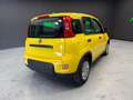 Fiat Panda 1.0 firefly hybrid s PANDINA PREZZO REALE! Giallo - thumbnail 7