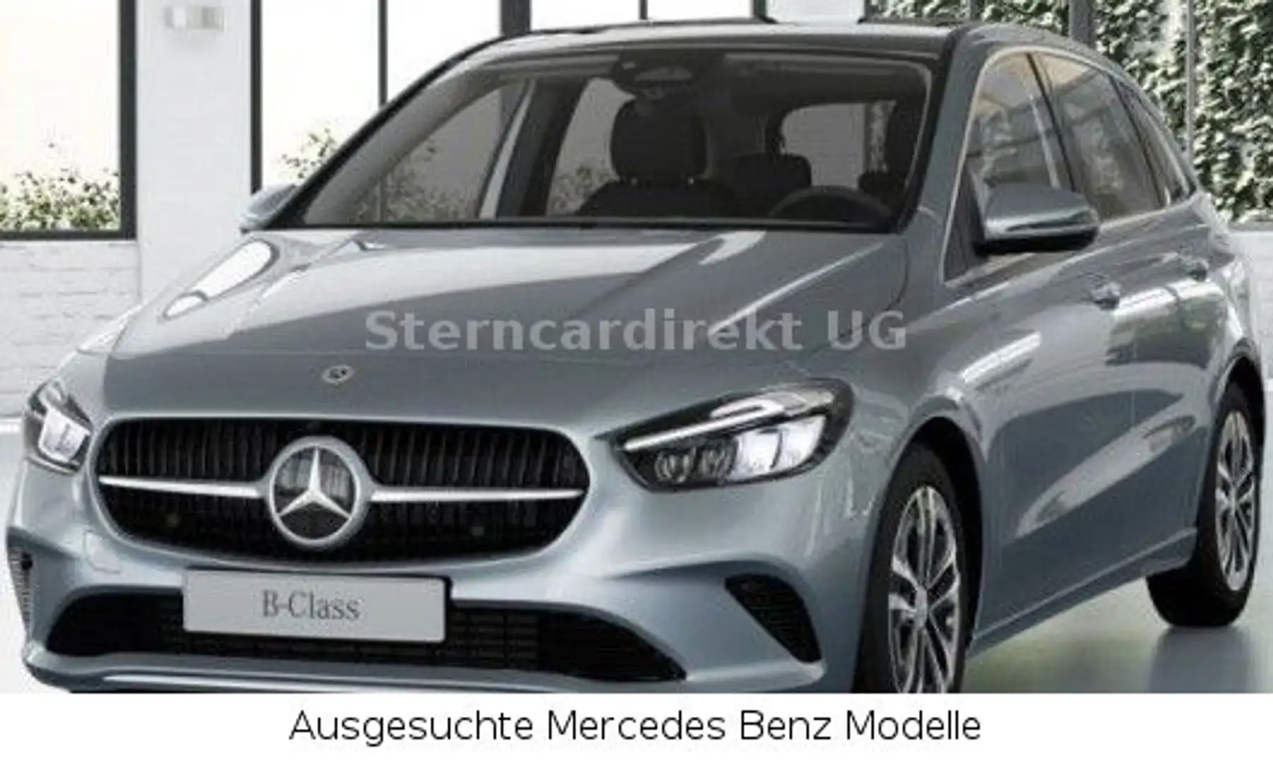 Mercedes-Benz B 250 4MATIC LEDER AHK SHZG LED WINTER RFK Silber - 2