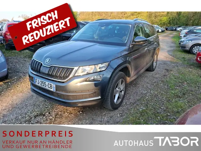 Skoda Kodiaq 2.0 TDI Ambition 4x4 7S Pano Kamera PDC