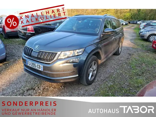 Skoda Kodiaq 2.0 TDI Ambition 4x4 Pano 5S Kamera PDC