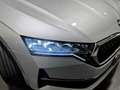 Skoda Octavia Wagon 2.0 tdi Executive 150cv dsg Silber - thumbnail 21