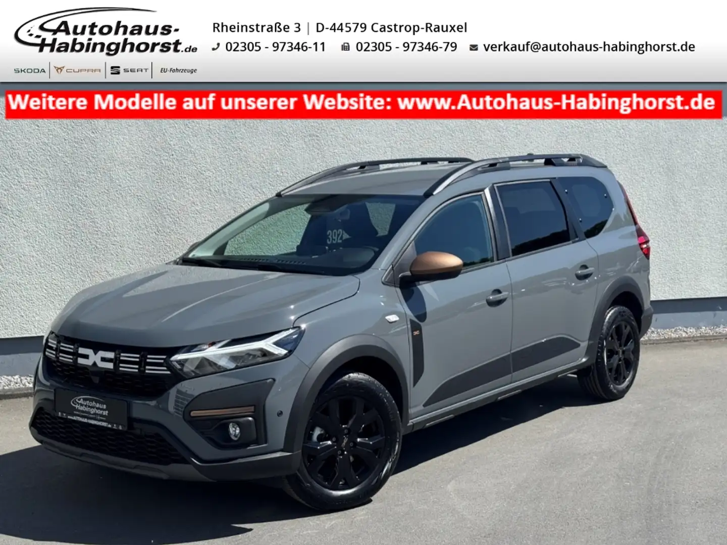 Dacia Jogger 1.0 TCe 110 Extreme Plus 7-Sitzer Navi PDC LED Shz Grau - 1