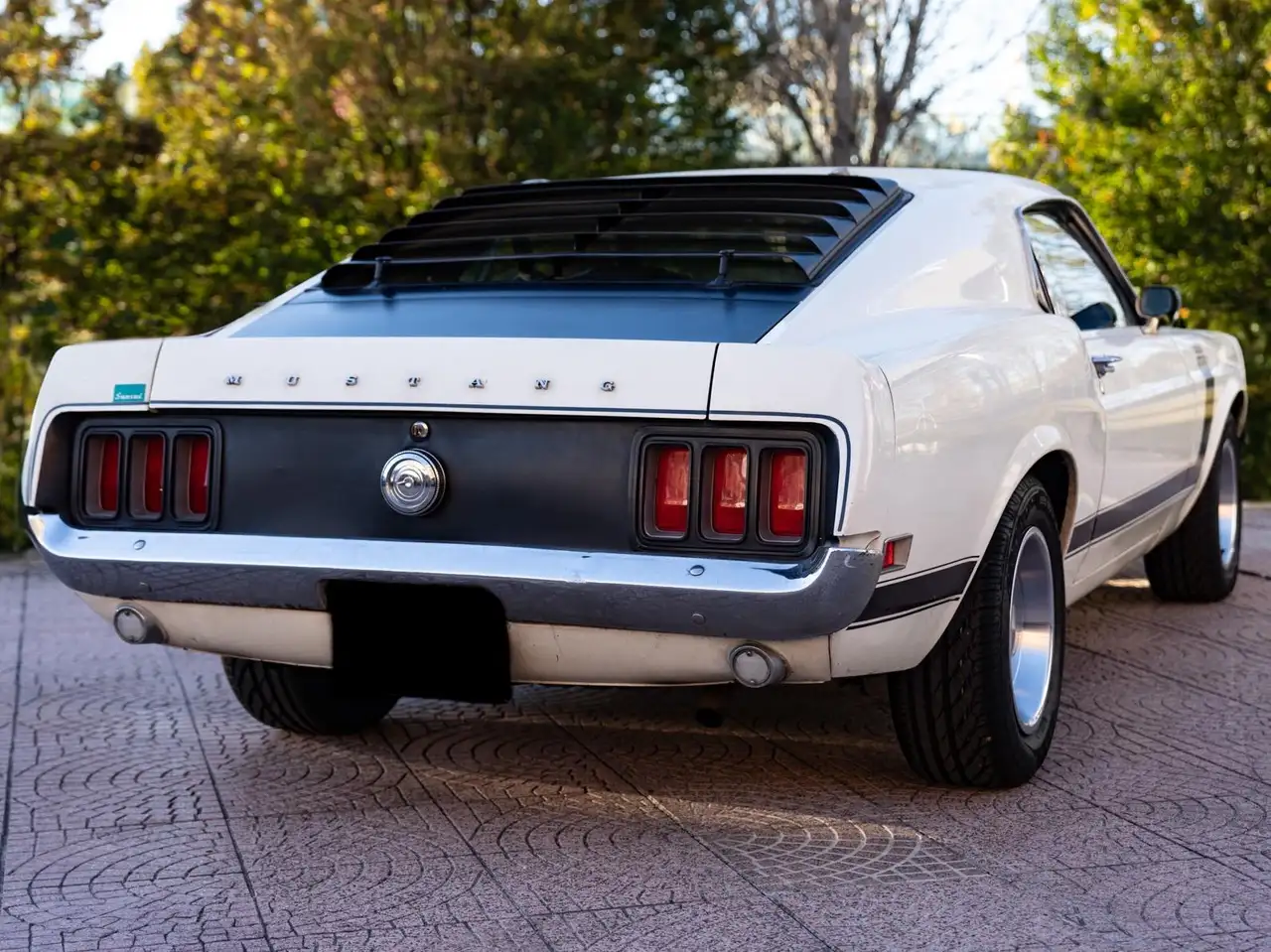 Ford Mustang Boss 302, foto 4