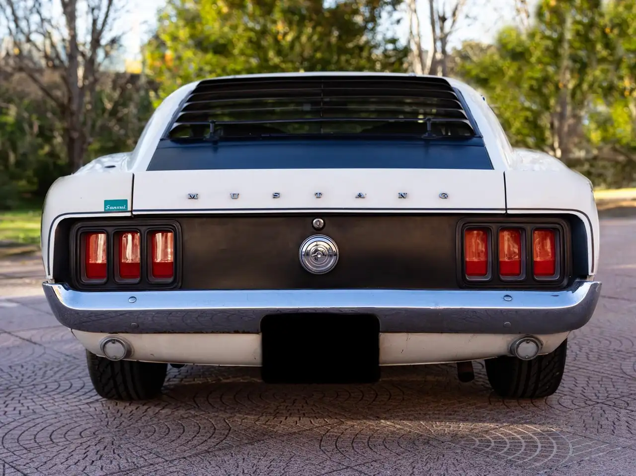 Ford Mustang Boss 302, foto 3