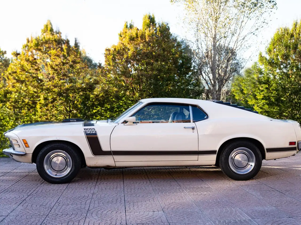 Ford Mustang Boss 302, foto 2