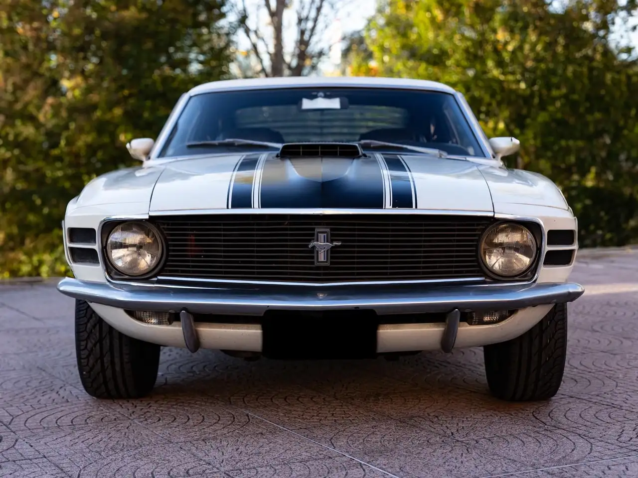 Ford Mustang Boss 302, foto 1