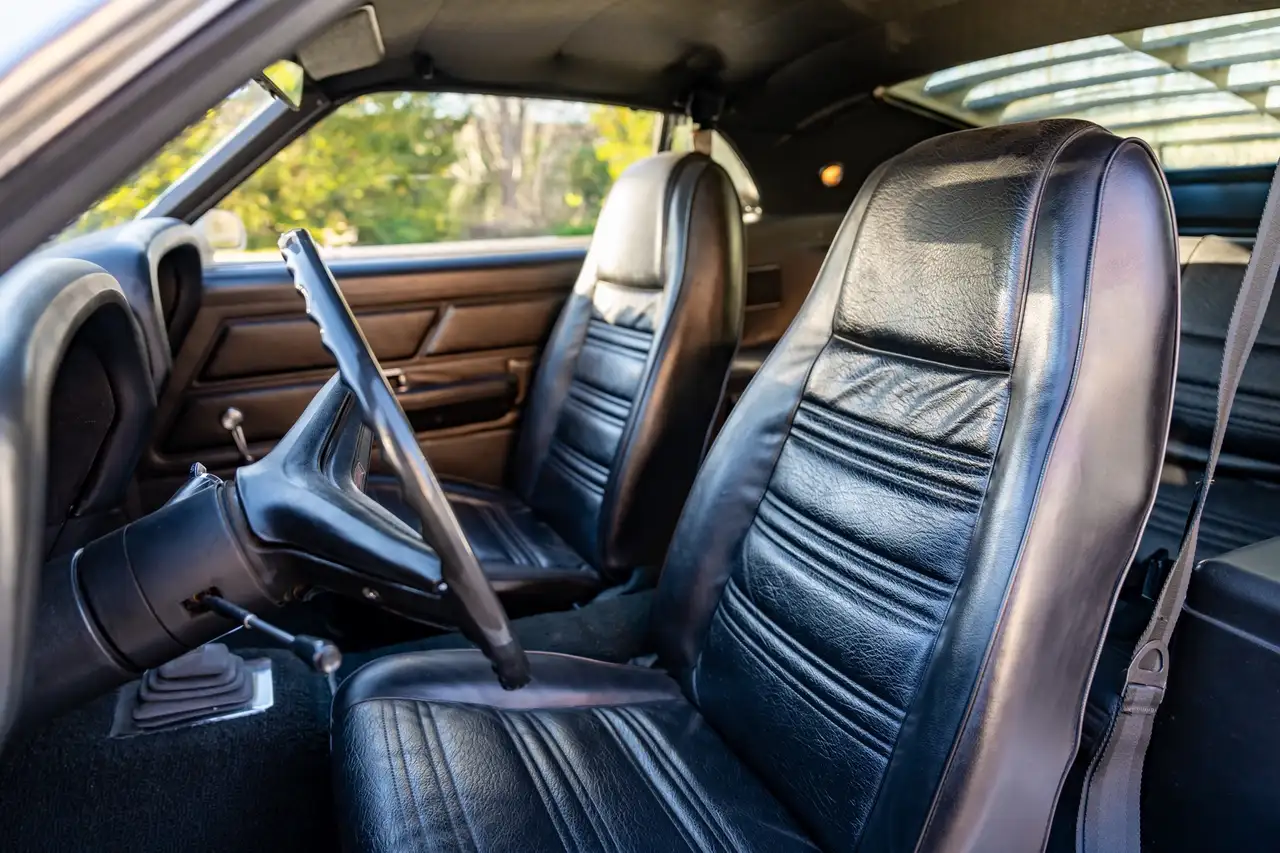 Ford Mustang Boss 302, foto 6