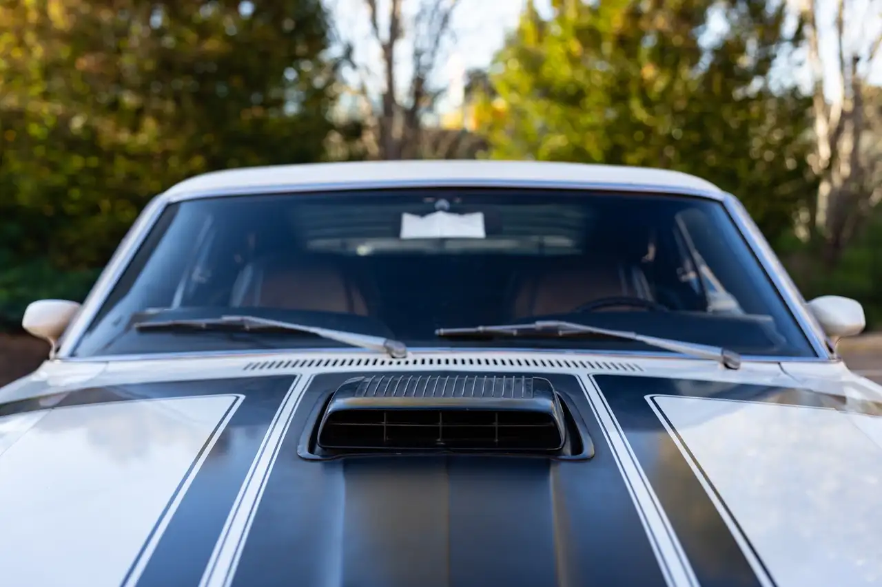 Ford Mustang Boss 302, foto 7