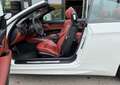 BMW M3 Cabrio Aut. Weiß - thumbnail 22