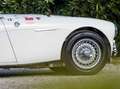 Austin-Healey 100 BN1 Mille Miglia Eligible Blanco - thumbnail 31