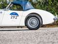 Austin-Healey 100 BN1 Mille Miglia Eligible Blanco - thumbnail 44