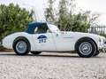 Austin-Healey 100 BN1 Mille Miglia Eligible Blanco - thumbnail 19