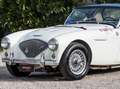 Austin-Healey 100 BN1 Mille Miglia Eligible Білий - thumbnail 3