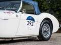 Austin-Healey 100 BN1 Mille Miglia Eligible bijela - thumbnail 6