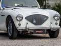 Austin-Healey 100 BN1 Mille Miglia Eligible Blanco - thumbnail 12