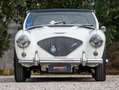Austin-Healey 100 BN1 Mille Miglia Eligible Bianco - thumbnail 11