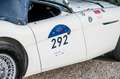 Austin-Healey 100 BN1 Mille Miglia Eligible Blanco - thumbnail 30