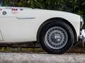Austin-Healey 100 BN1 Mille Miglia Eligible Weiß - thumbnail 26