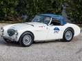 Austin-Healey 100 BN1 Mille Miglia Eligible bijela - thumbnail 5