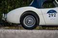 Austin-Healey 100 BN1 Mille Miglia Eligible Blanco - thumbnail 25
