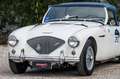 Austin-Healey 100 BN1 Mille Miglia Eligible bijela - thumbnail 13