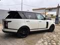 Land Rover Range Rover 4.4D SDV8 Autobiography 4WD Aut. Blanco - thumbnail 4
