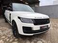 Land Rover Range Rover 4.4D SDV8 Autobiography 4WD Aut. Blanco - thumbnail 5