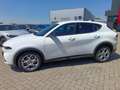 Alfa Romeo Tonale 1.6 diesel 130 CV TCT6 Sprint Bianco - thumbnail 9