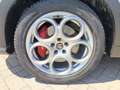 Alfa Romeo Tonale 1.6 diesel 130 CV TCT6 Sprint Bianco - thumbnail 13