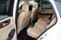 Mercedes-Benz GLE 43 AMG Coupe StandHz_Pano_360° Weiß - thumbnail 10