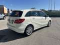 Mercedes-Benz B 180 B 180 cdi Executive auto Bianco - thumbnail 8