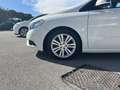 Mercedes-Benz B 180 B 180 cdi Executive auto Bianco - thumbnail 4
