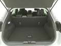 Ford Puma Titanium 1.0 Mild Hybrid 125CV Grigio - thumbnail 14