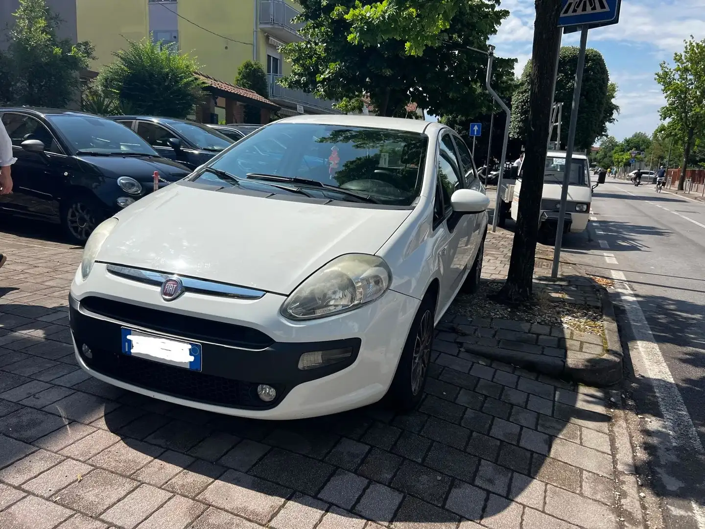 Fiat Punto Evo Punto Evo 5p 1.2 Lounge Blanc - 1