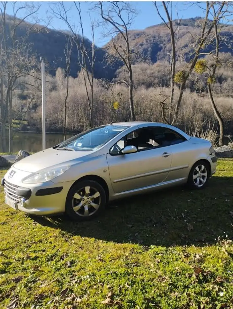 Peugeot 307 307 CC 1.6e 16V 110ch Navteq on Board Gris - 1
