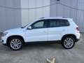Volkswagen Tiguan 1.4TSI Sport 4x4 160 Weiß - thumbnail 2