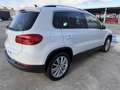 Volkswagen Tiguan 1.4TSI Sport 4x4 160 Weiß - thumbnail 5