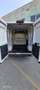 Fiat Ducato Белый - thumbnail 5