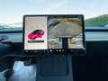 Tesla Model 3 Standard RWD Plus Grigio - thumbnail 12