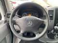 Mercedes-Benz Sprinter 313 CDi Kamera,Navi,Klima,Stdh,SH,1Hd. Weiß - thumbnail 15