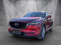 Mazda CX-5 Kangei HUD NAVI LED AHK 360° 1HAND Red - thumbnail 1
