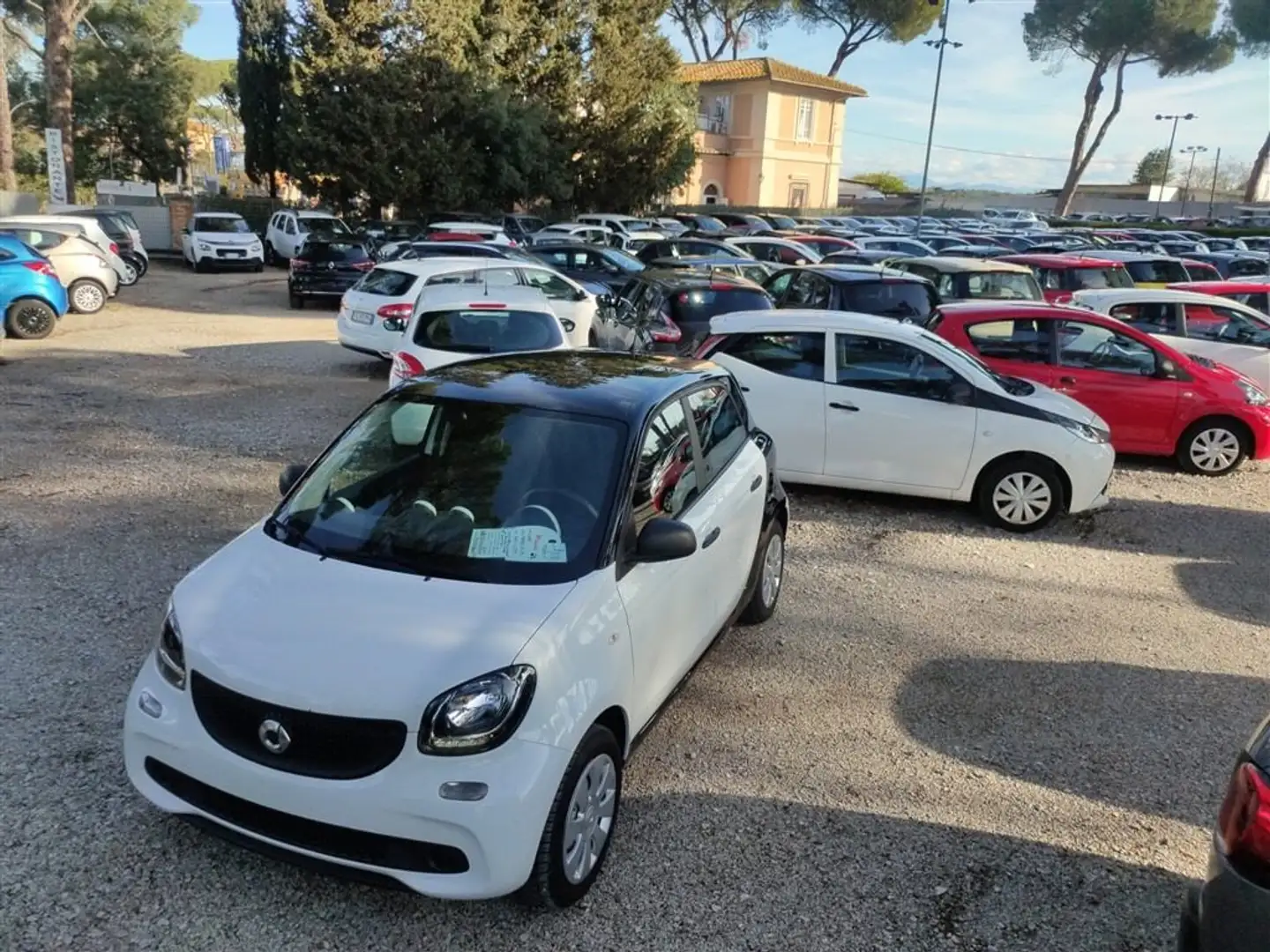 smart forFour 70 1.0 Youngster CRUISE,CLIMA OK Neopatentati .. Bianco - 1